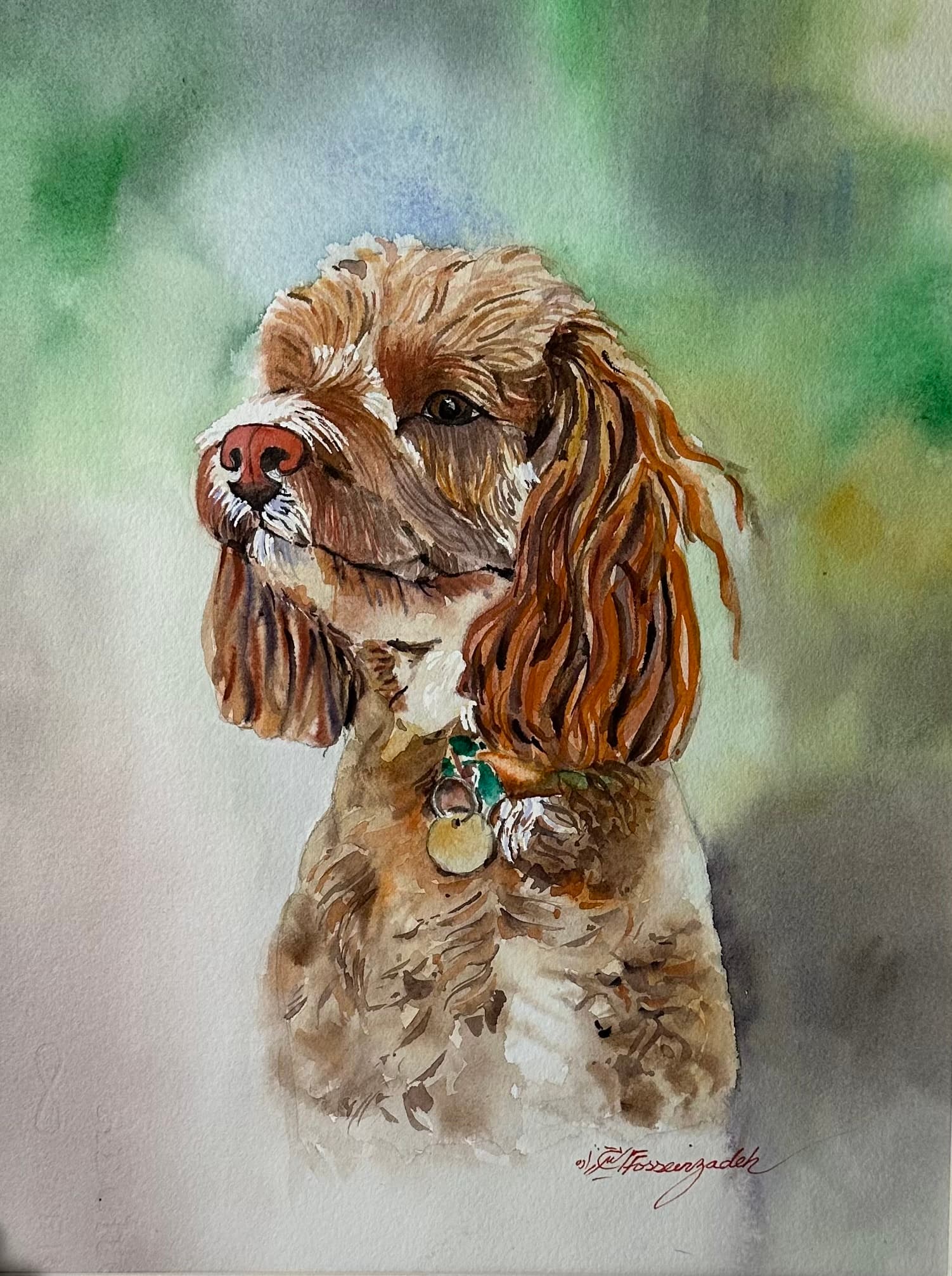 Pet Portraits